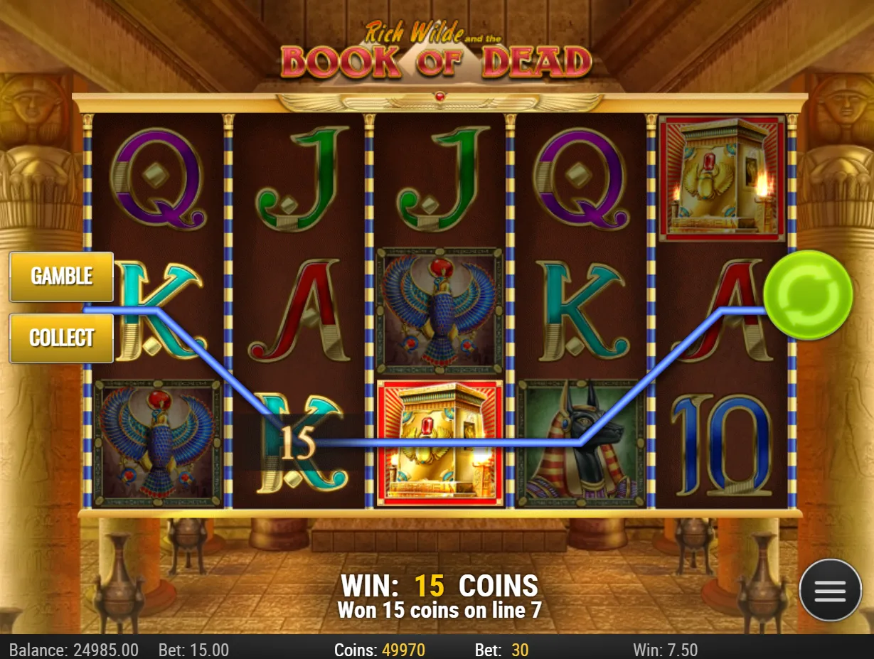 Book of Dead Slot